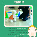 라라퍼피 애견 반려견 유치원