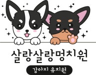 살랑살랑 멍치원 애견유치원