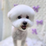 다이아몽