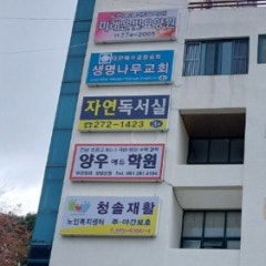 생명나무교회
