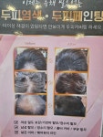 헤어제네스