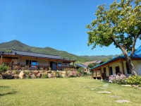 파도마을 삼냥이네