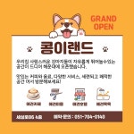 디어마이퍼피