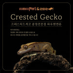 와우펫앤쥬 본점