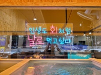 박영철사시미