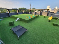 마이핫독 애견유치원/미용