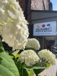 리리랜드