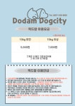 도담도그 스쿨