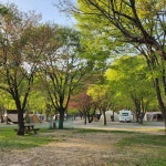 별빛오토캠핑장