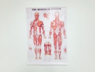 장락 베데스다 안마원