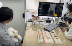 아이러브 동물병원