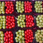 프룻비 fruit.B