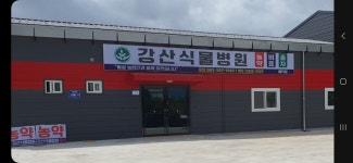 강산식물병원