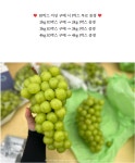 유니포도농원