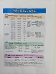 강명희레이카운티부동산중개