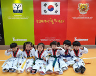 월드용인대석사태권도 와동관
