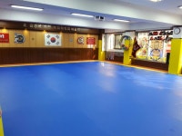 월드용인대석사태권도 와동관