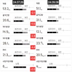바디모어핏