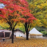 별빛오토캠핑장