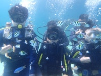 NTS태권도 창동1호점