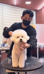 멍텔스컴바인 & 묭실묭실
