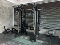 비베호디에 스튜디오