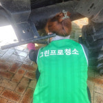 식당 준공 인테리어 청소용역 그린프로청소 부천점