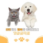 가자펫택시