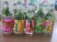 클라라아트에듀학원