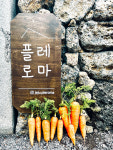 플레로마