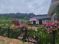 동해한옥펜션