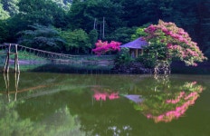 세민관광