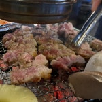 국민돼지