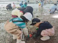 왕산어촌체험휴양마을