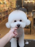 더예쁘개
