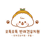 오독오독반려견유치원