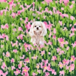 온지화실/미술공방