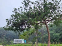 캠프그라운드 화우