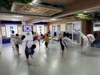 화랑태권도합기도 총본관