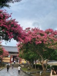 환희공인중개사사무소