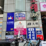 홍스대대클럽