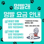 멍빨래