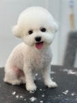 그루밍574
