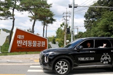 홈펫 택시