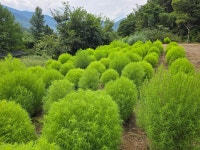 산아래