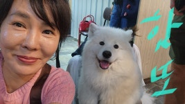 제주식당