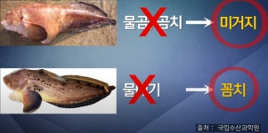 태창식당