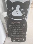 냥냥이세상