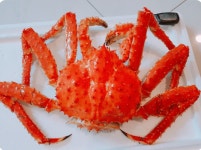 영덕강구항대게직판장 대명대게
