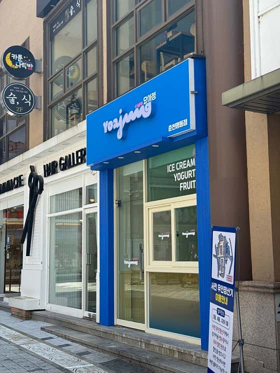 요거트아이스크림의정석 춘천명동점 사진